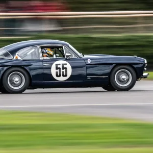 Jensen 541R @ The Goodwood Revival 2018