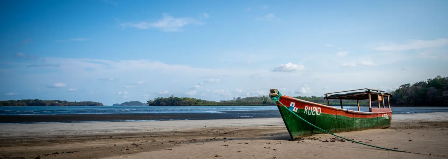 Rubid on a beach in Panama